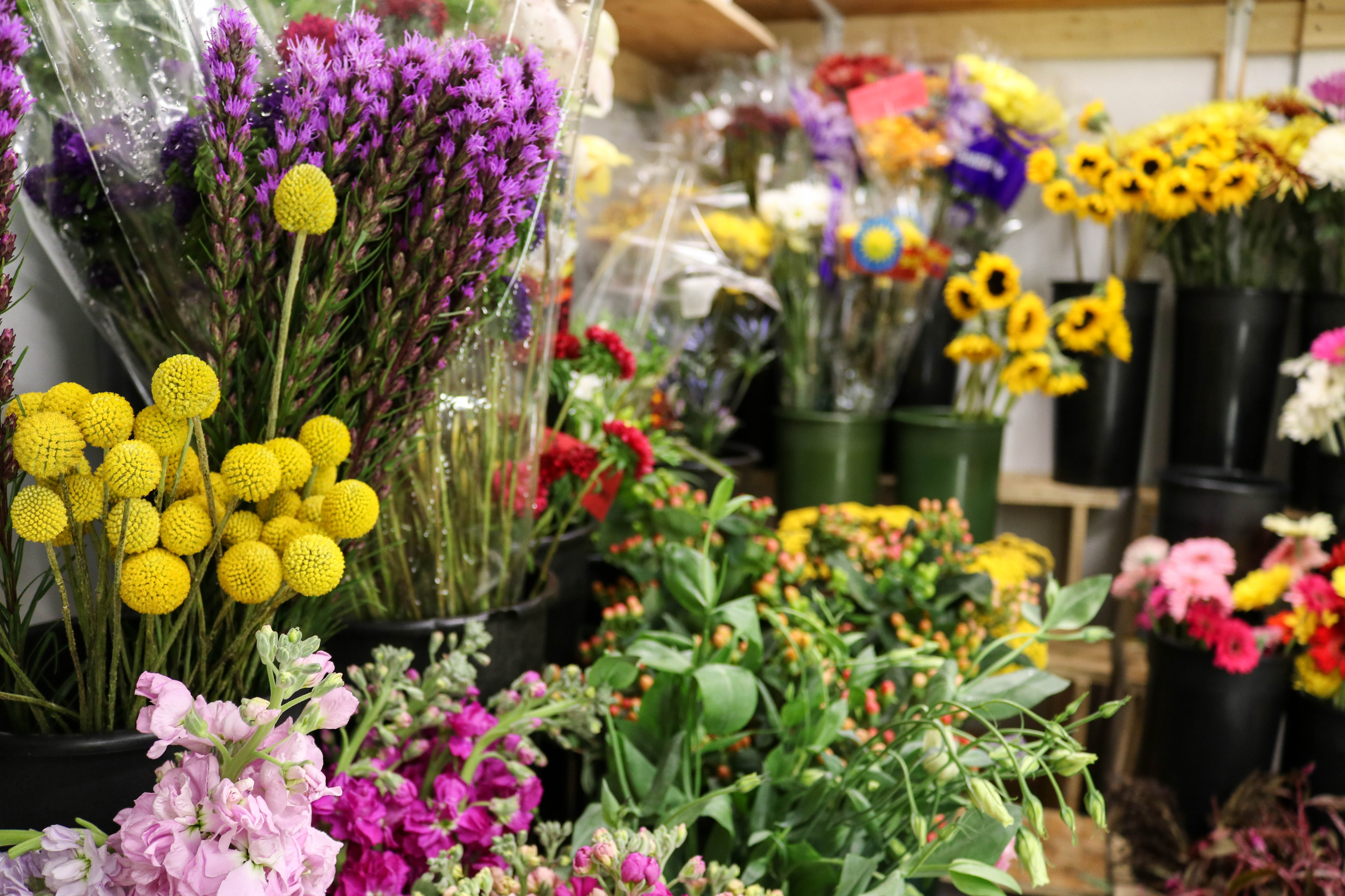 Mở cửa hàng kinh doanh hoa cần bao nhiêu vốn?