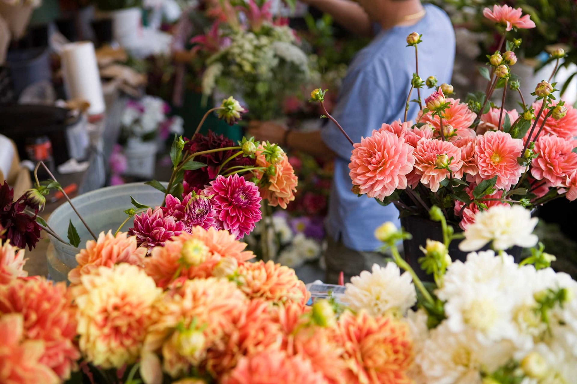 Thiết kế shop hoa tươi đẹp – Bí quyết giúp việc kinh doanh hoa tươi thành công