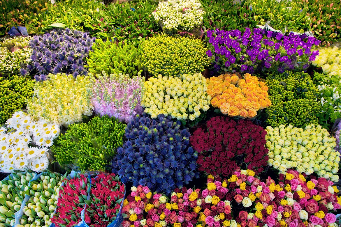 Bí quyết giữ hoa tươi lâu nhất của các chủ shop kinh doanh hoa