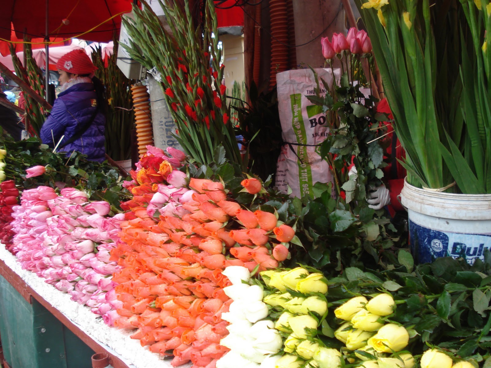 Kinh doanh hoa tươi: Nhập hoa ở đâu và như thế nào?